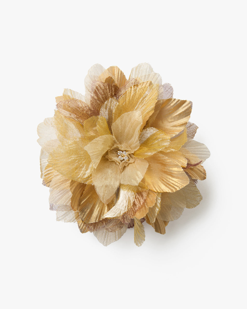 The Golden Poinsettia