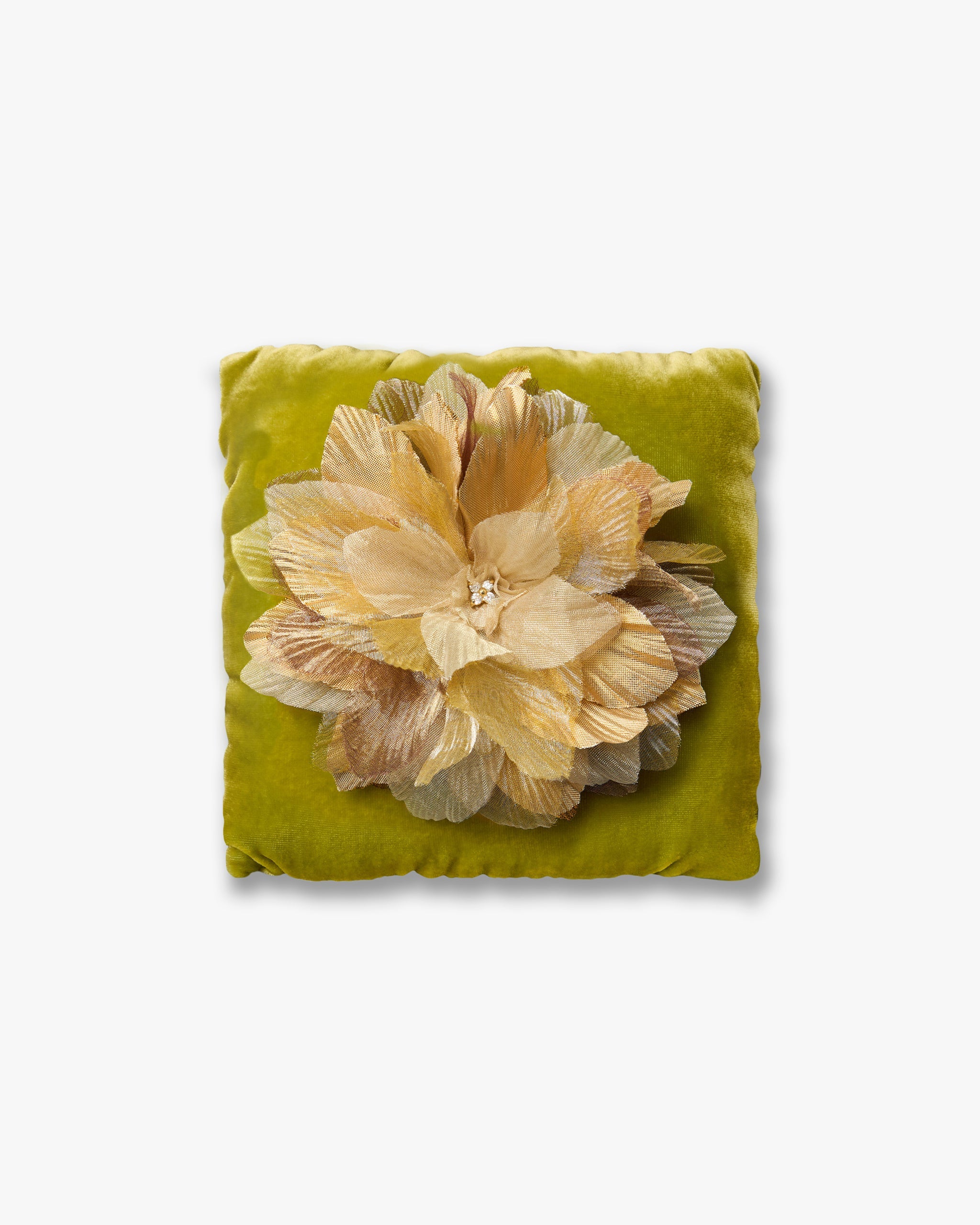 The Golden Poinsettia