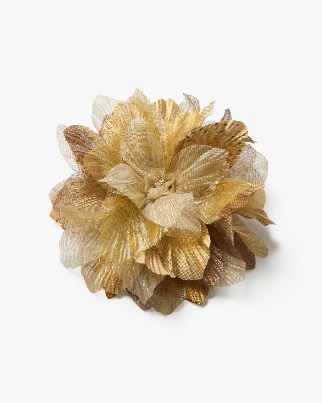 The Golden Poinsettia
