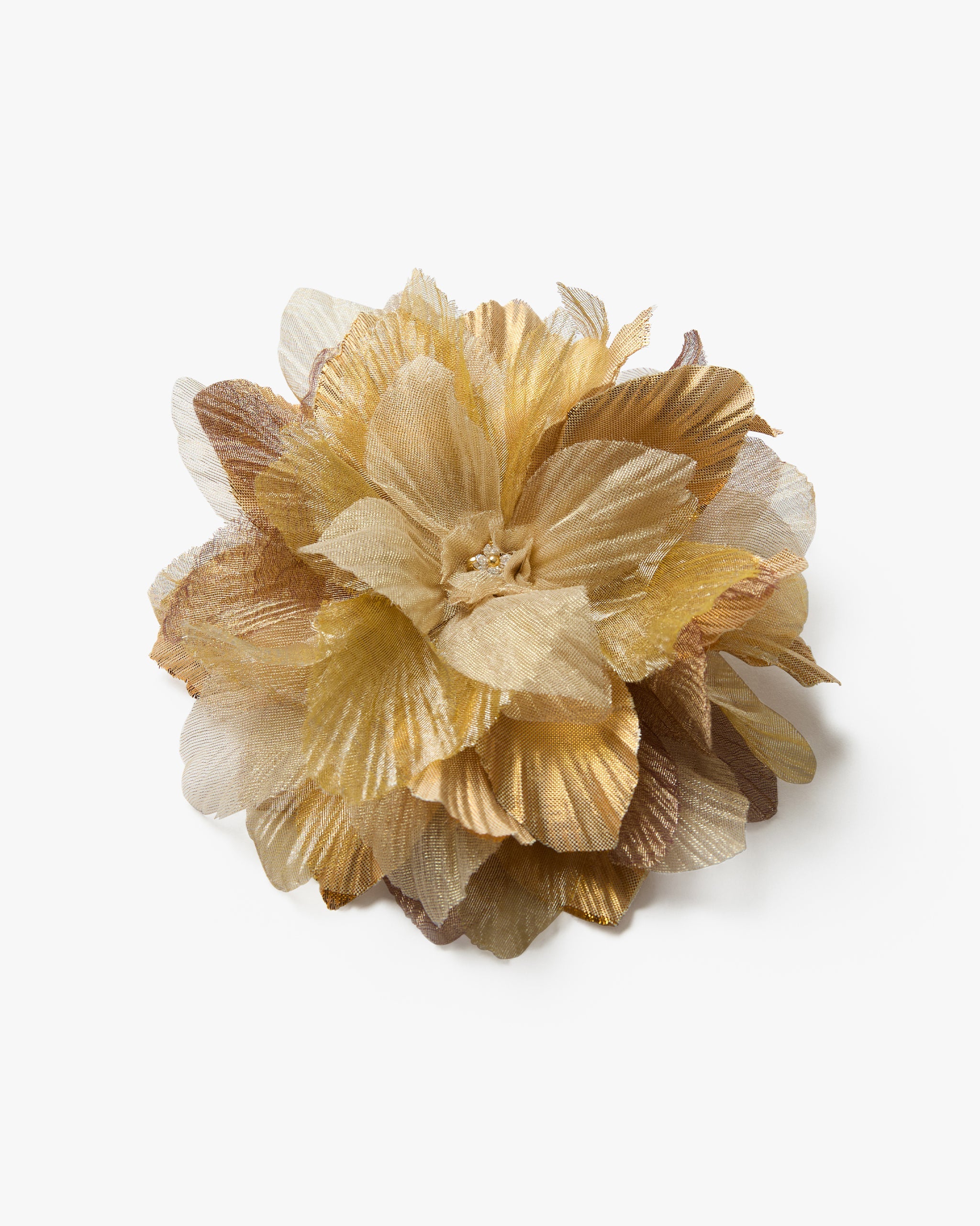 The Golden Poinsettia