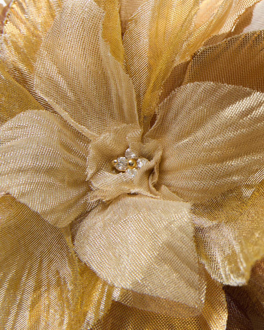 The Golden Poinsettia