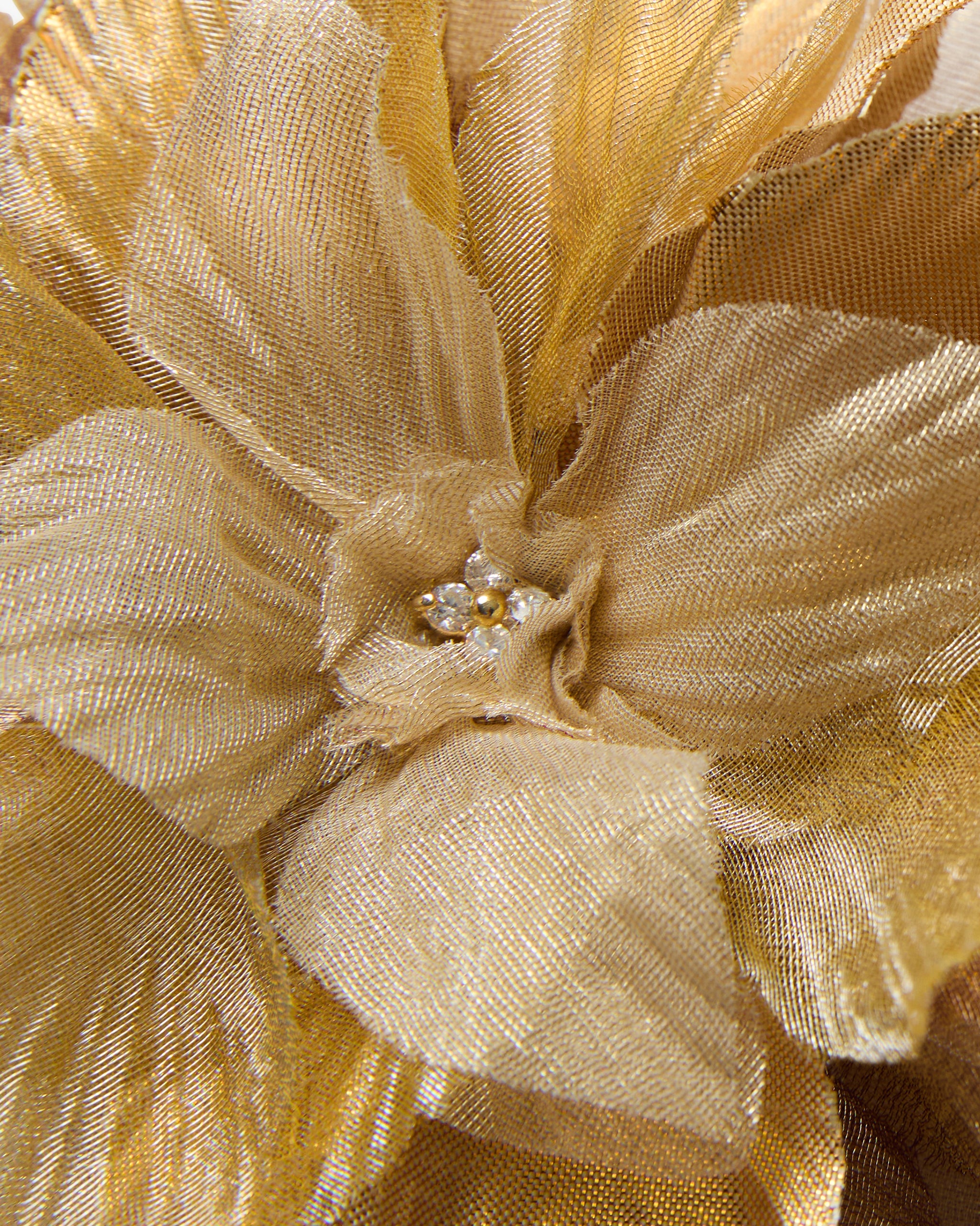 The Golden Poinsettia