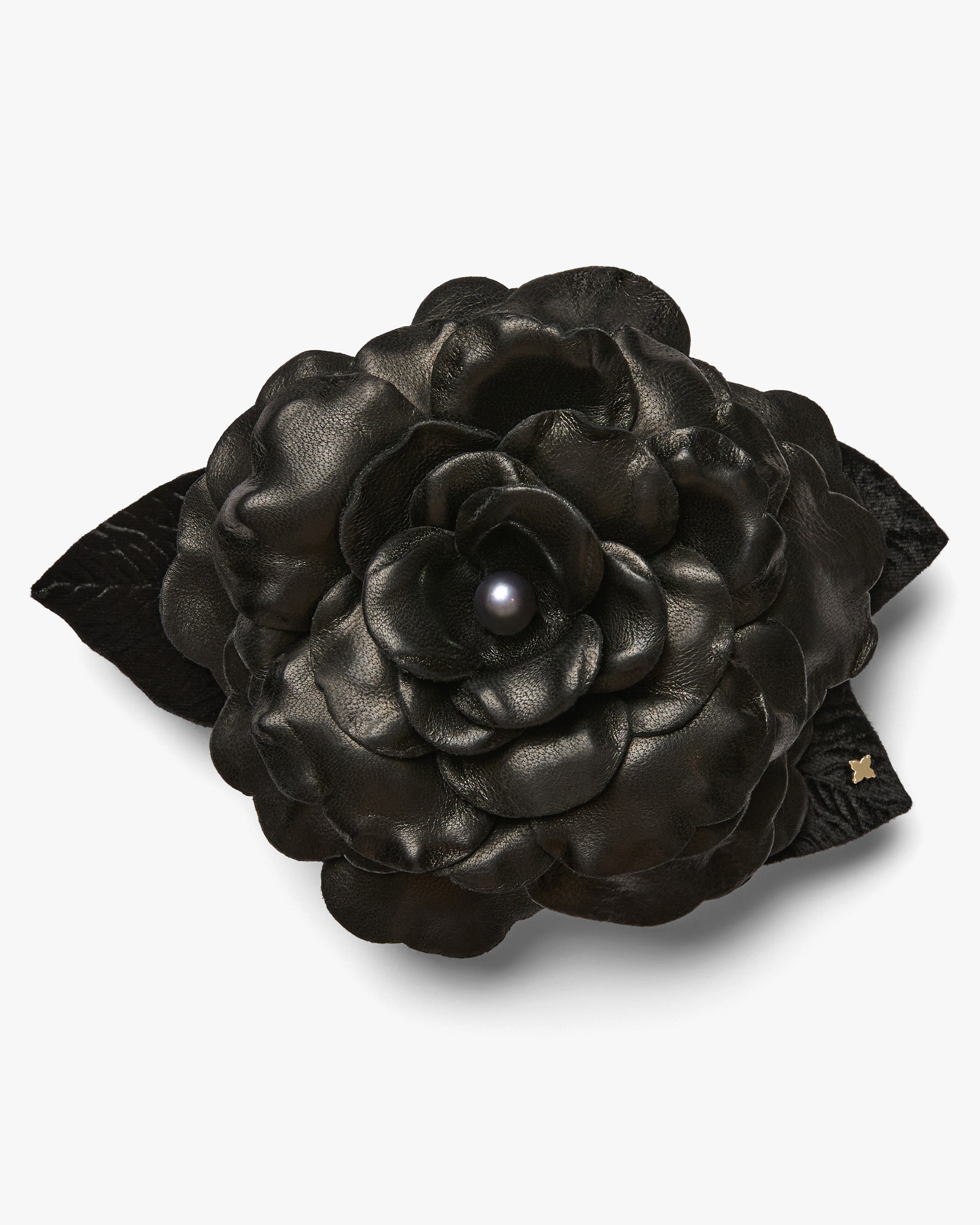 The Black Gardenia