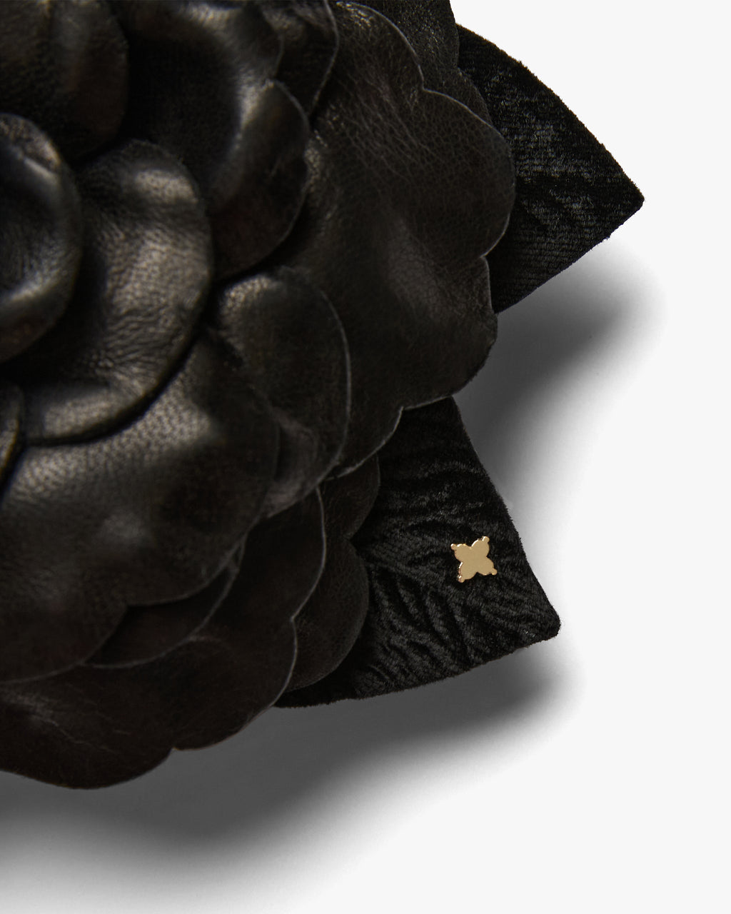 The Black Gardenia