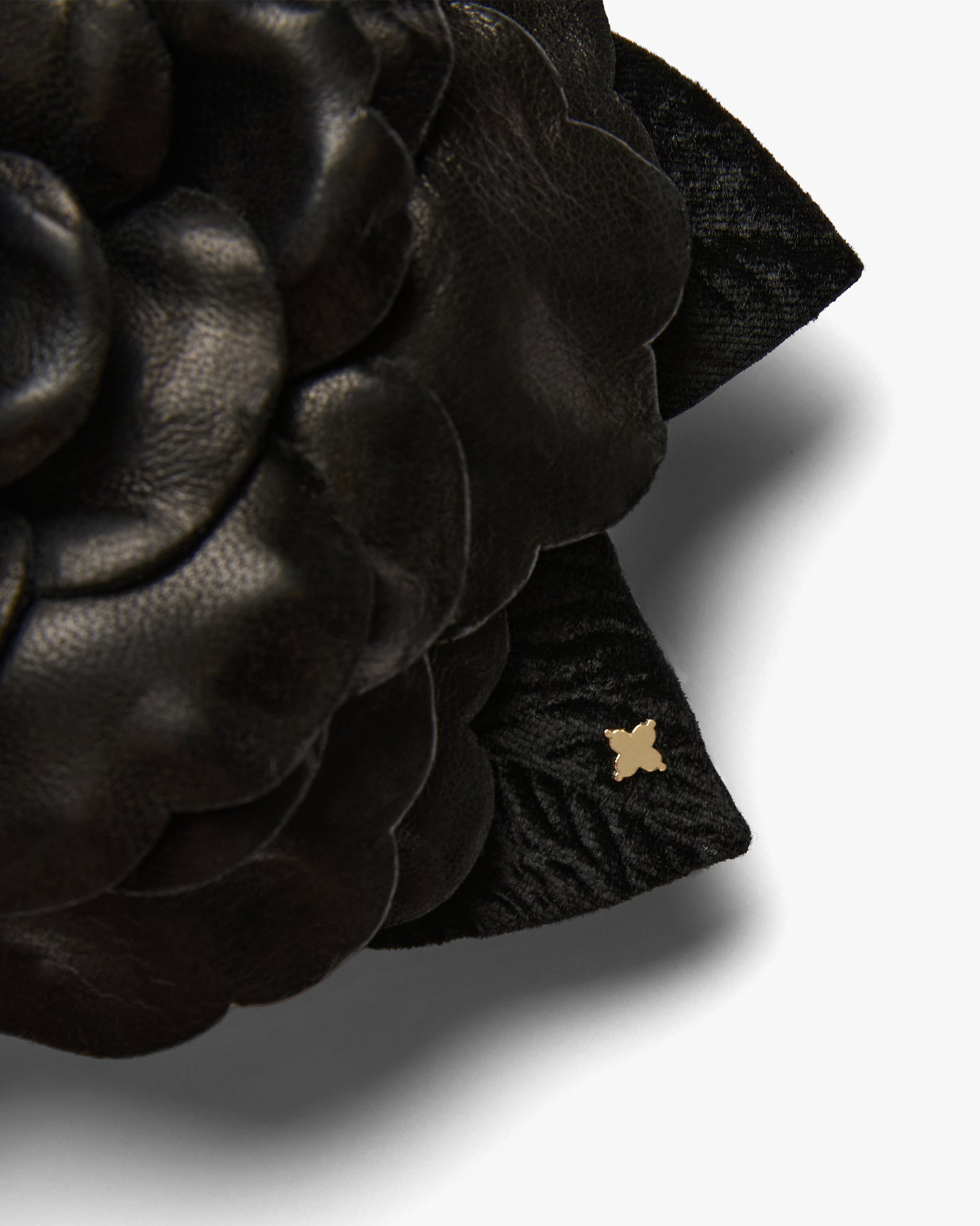 The Black Gardenia