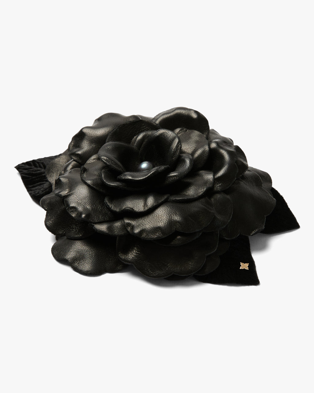 The Black Gardenia