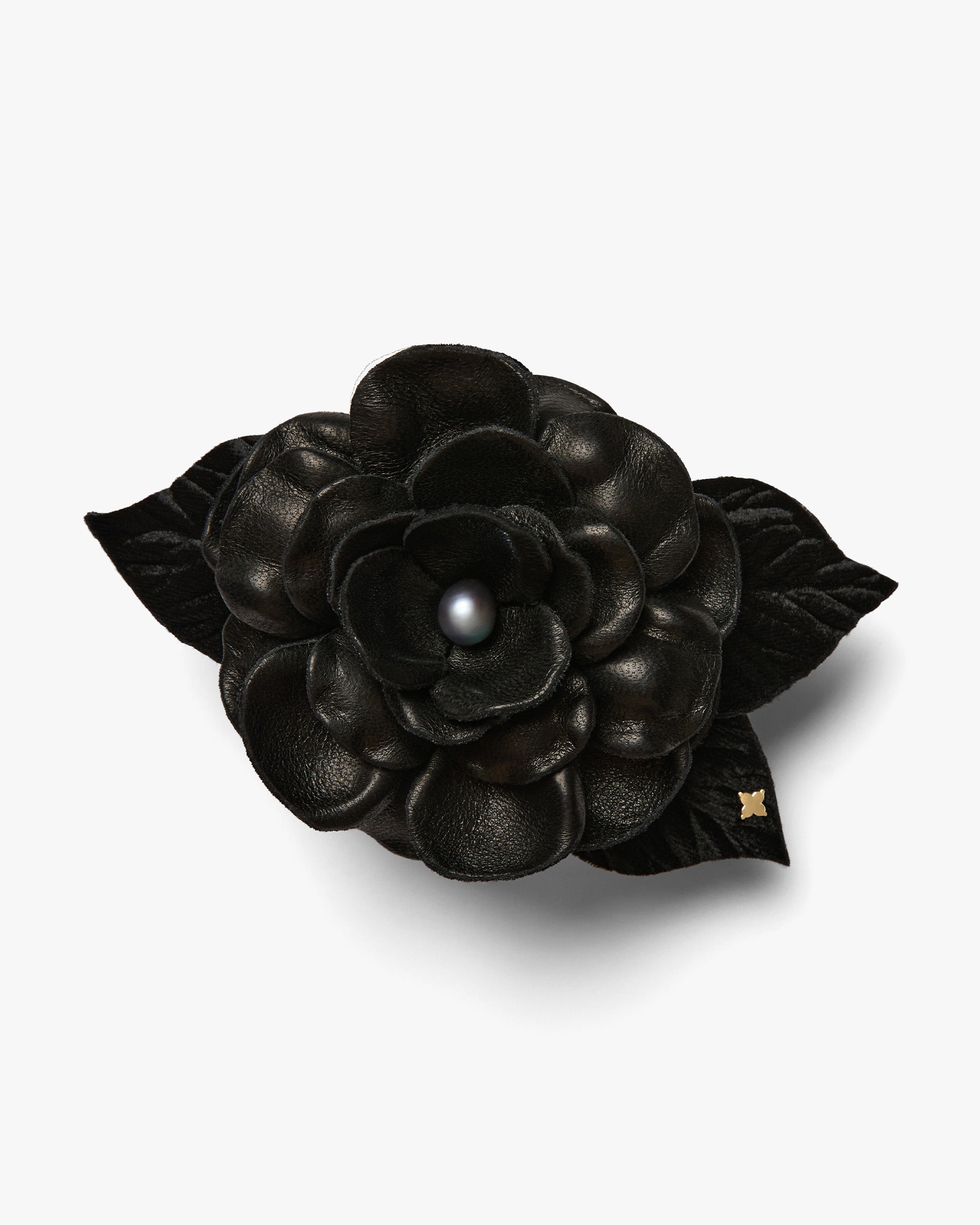 The Black Gardenia
