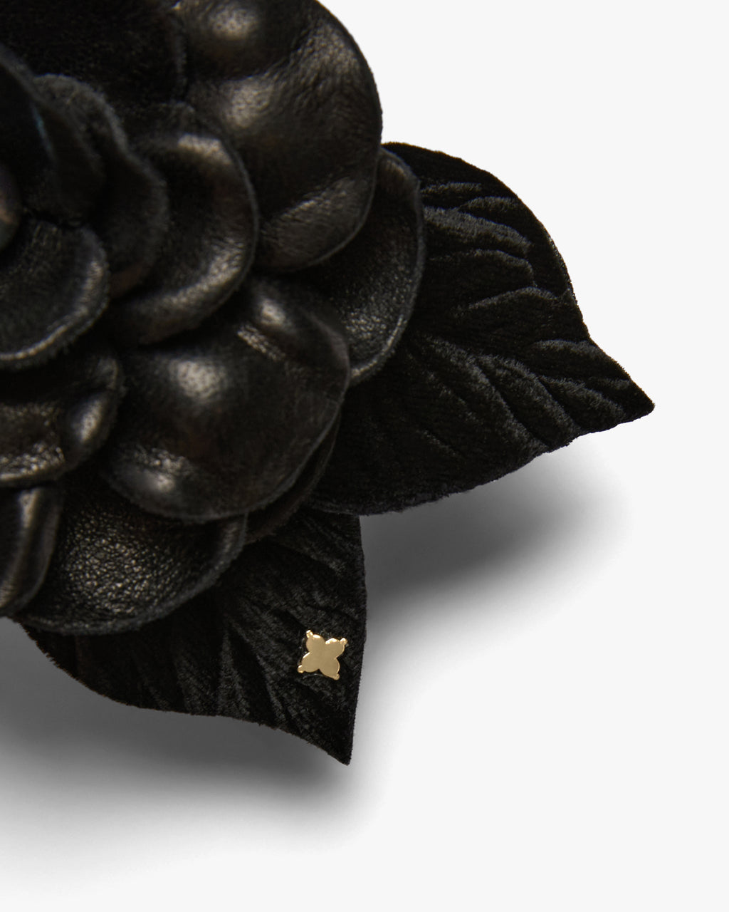 The Black Gardenia