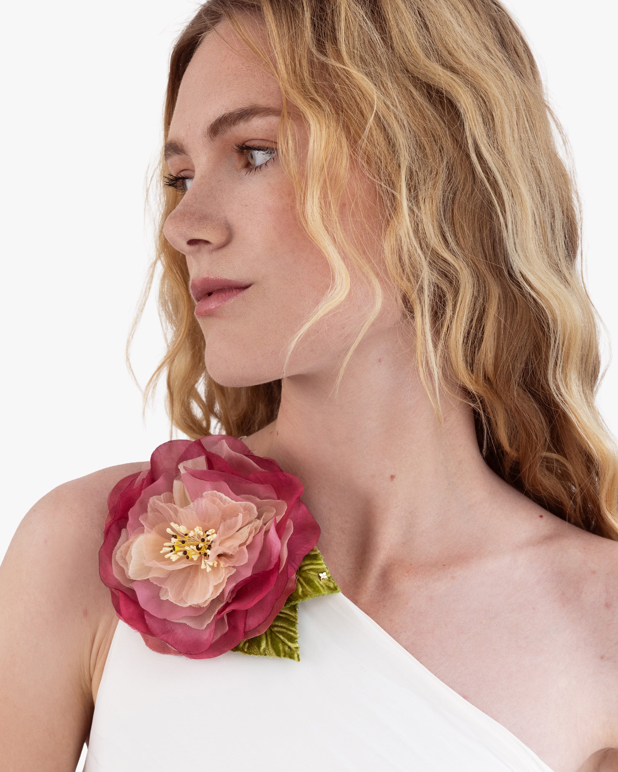 The Camellia
