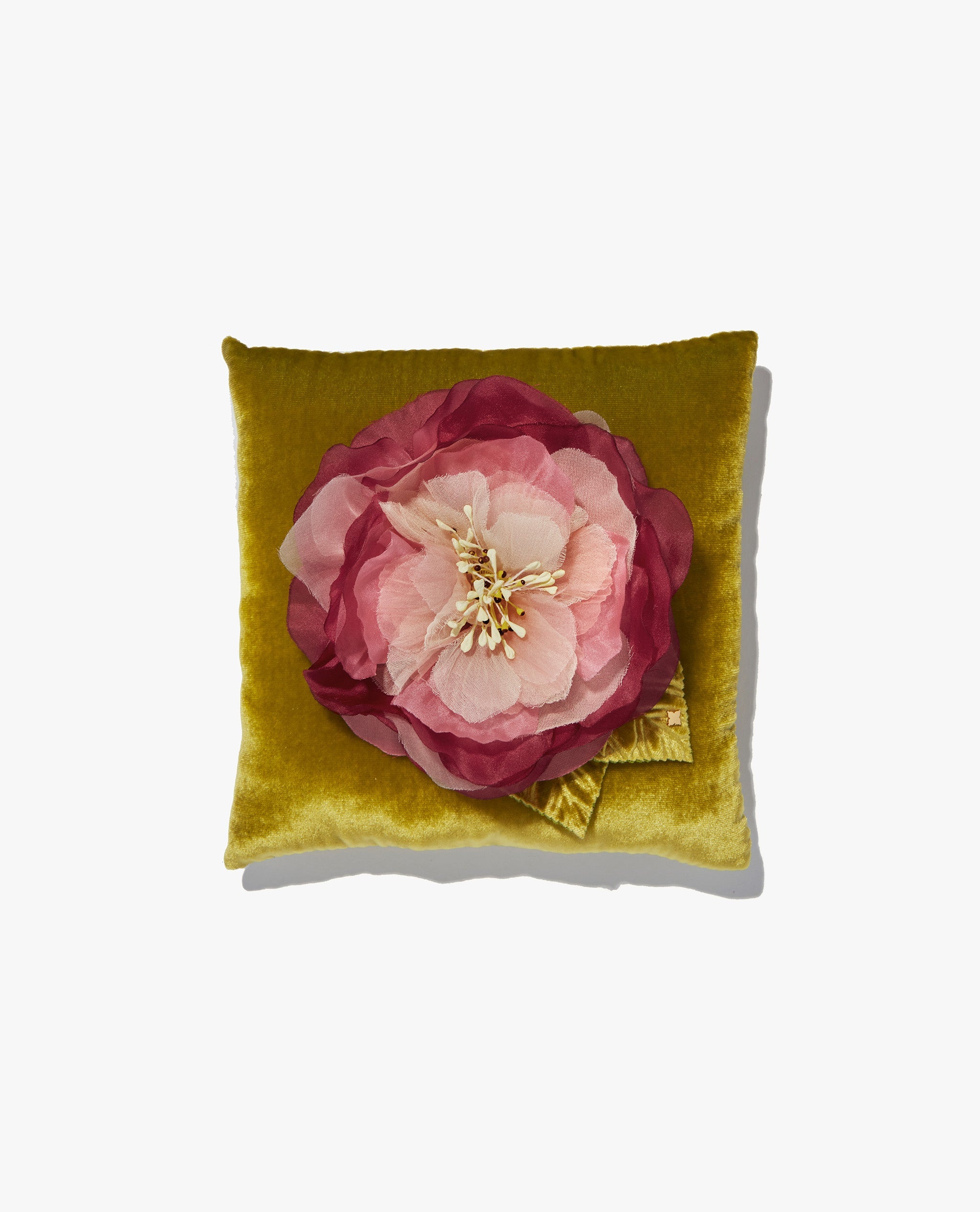 The Camellia