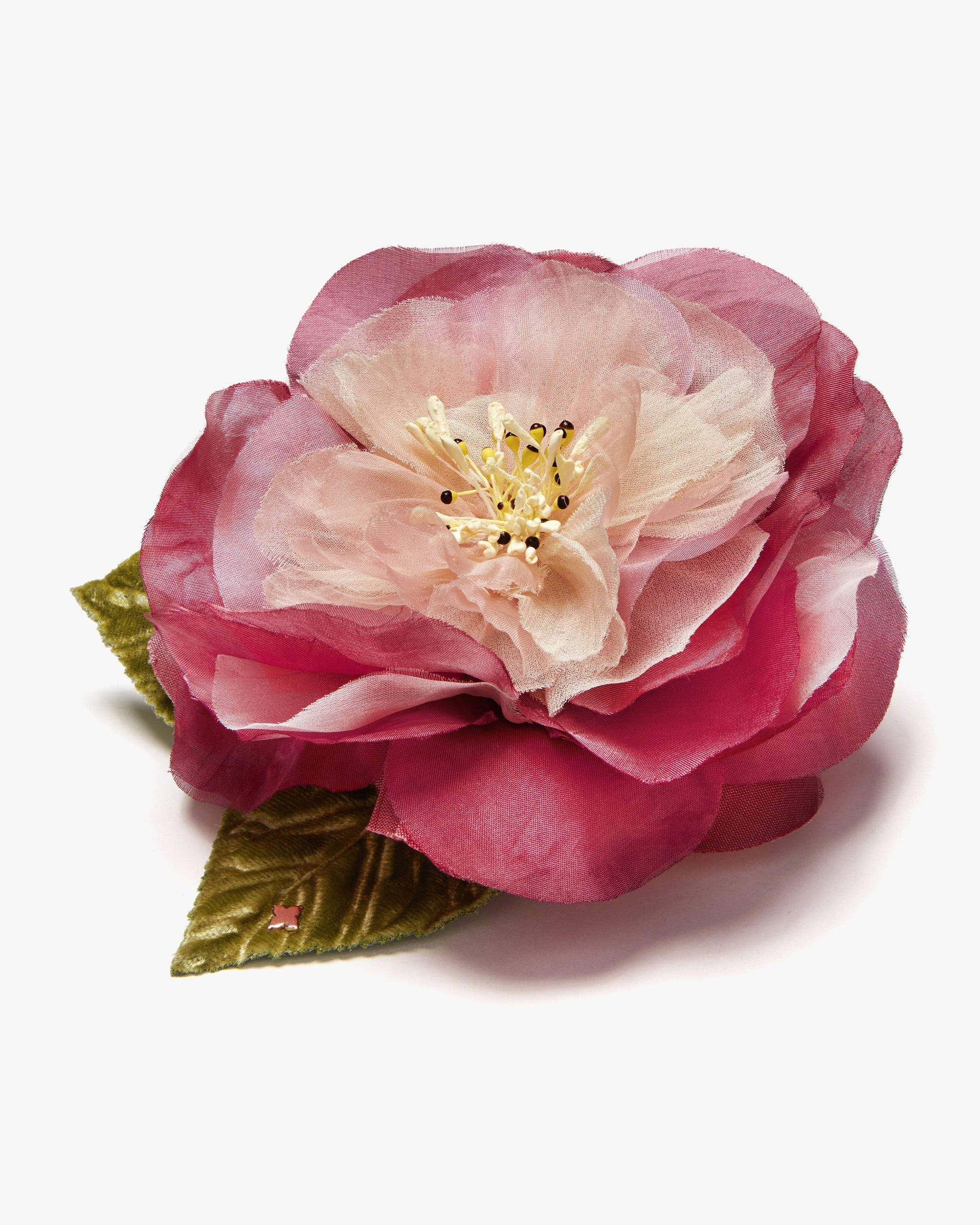 The Camellia