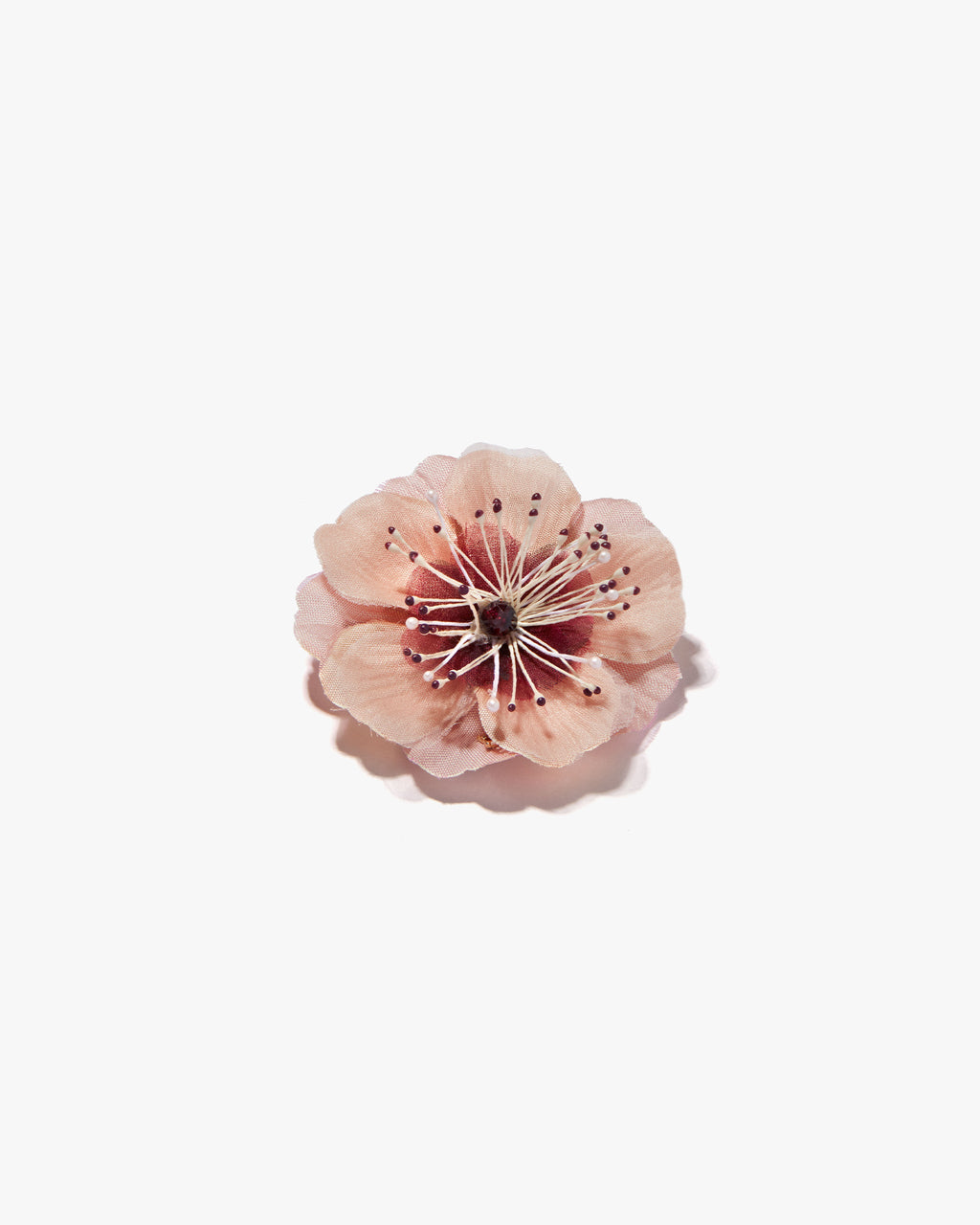 The Cherry Blossom