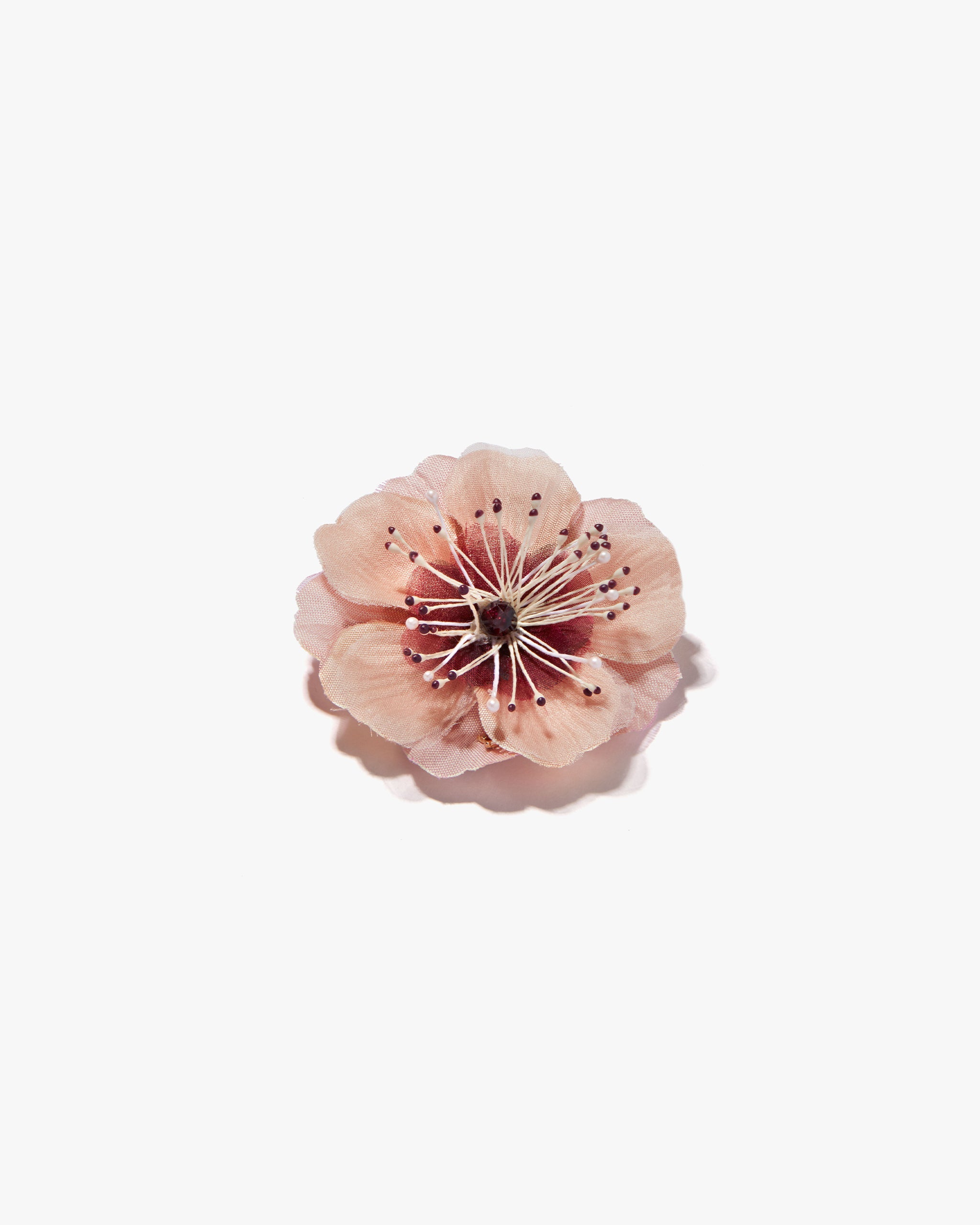 The Cherry Blossom