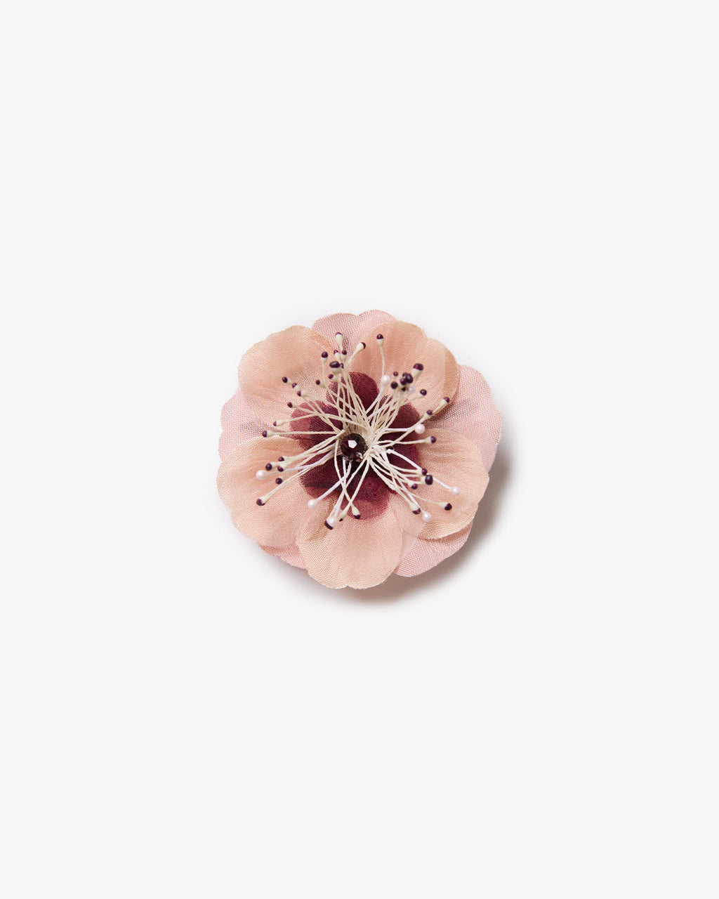 The Cherry Blossom