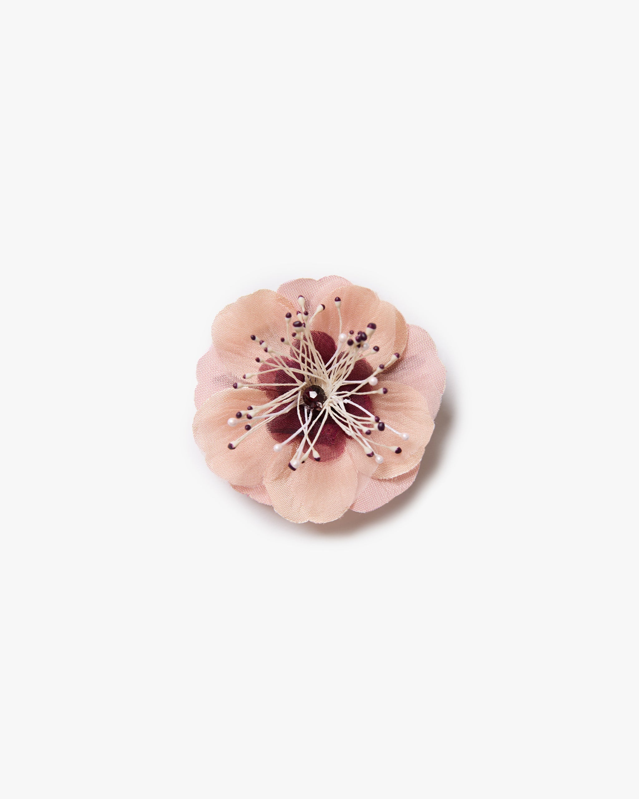 The Cherry Blossom