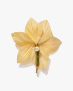 The Daffodil
