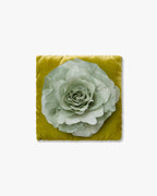 The Green Rose