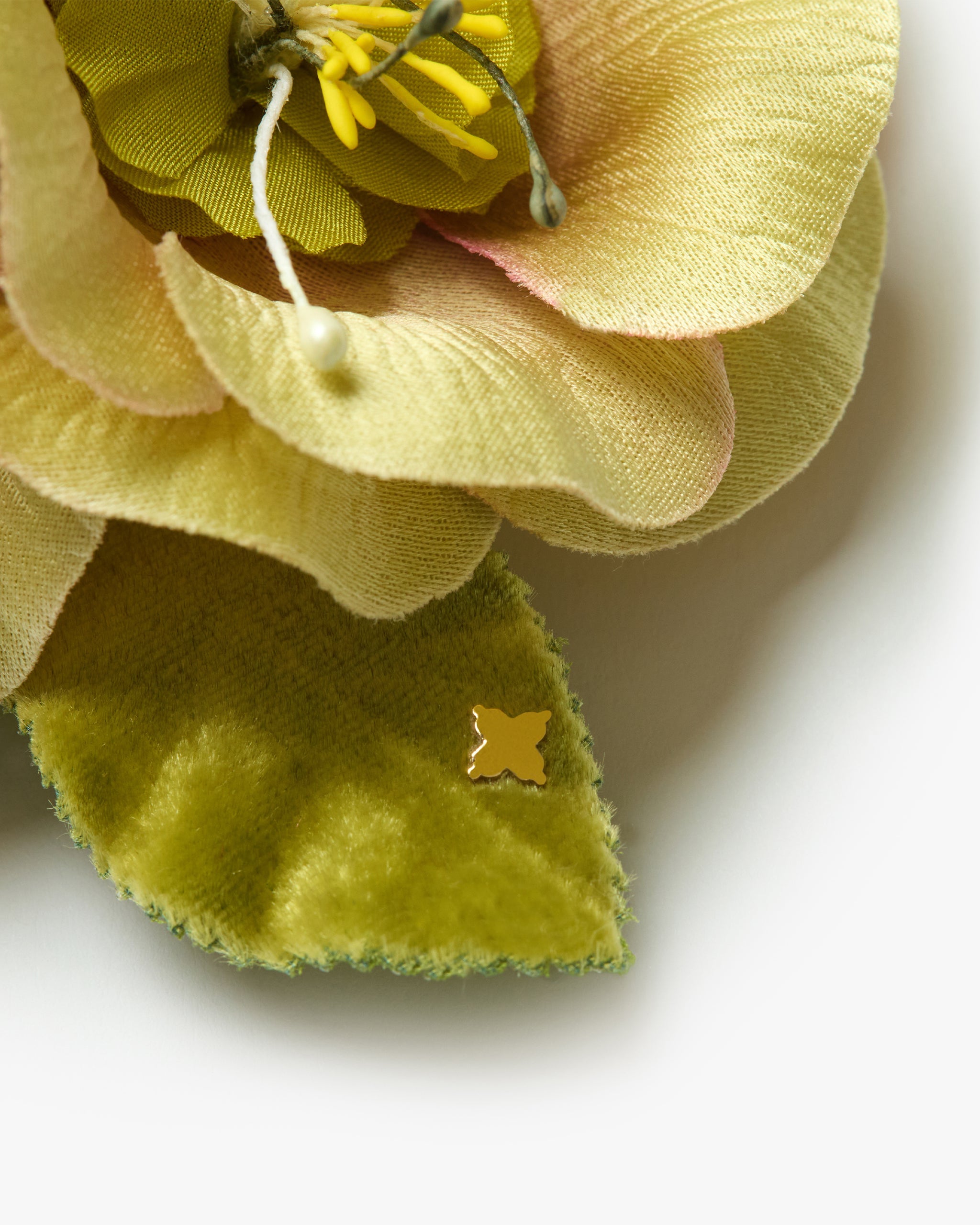 The Hellebore