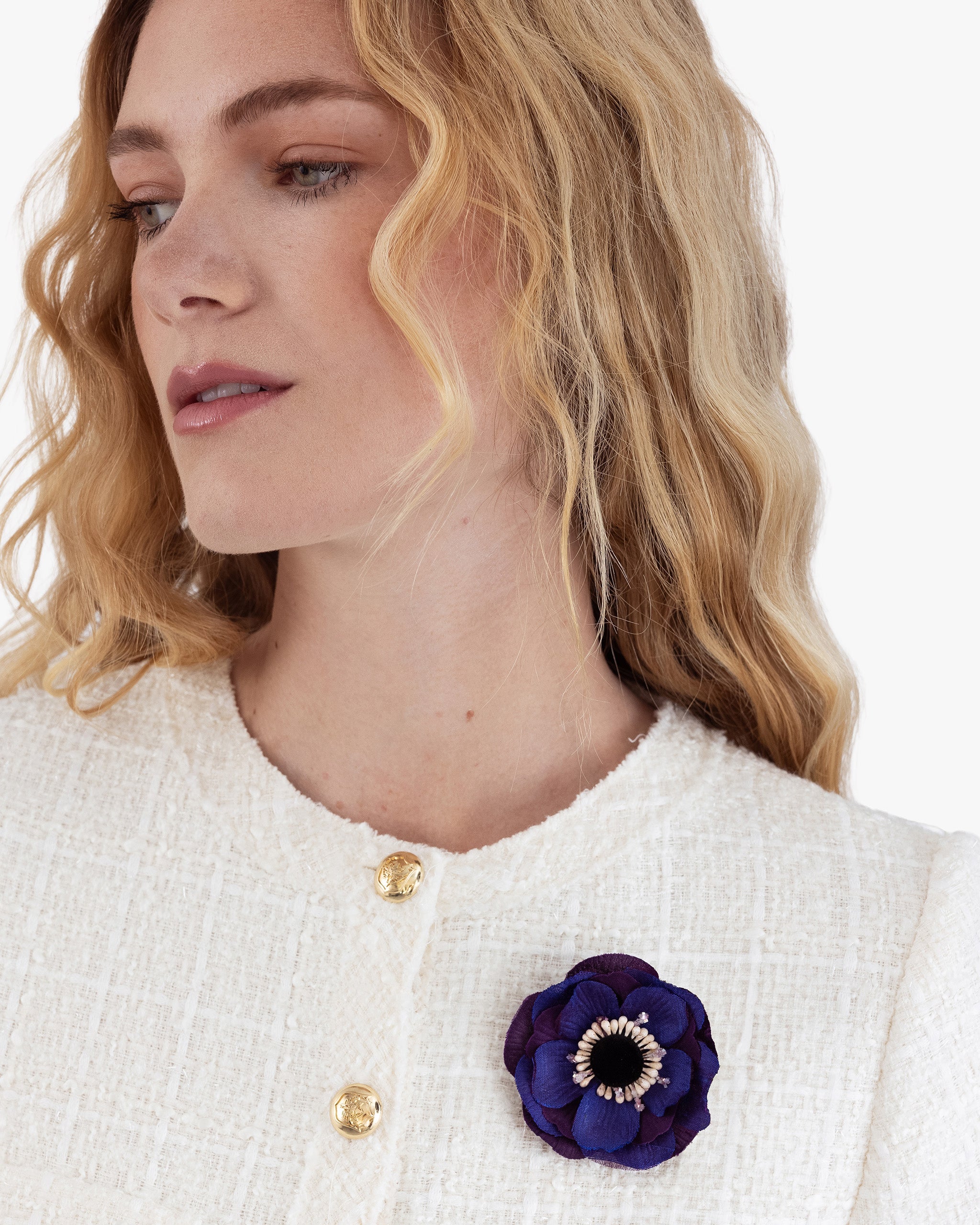 The Indigo Anemone