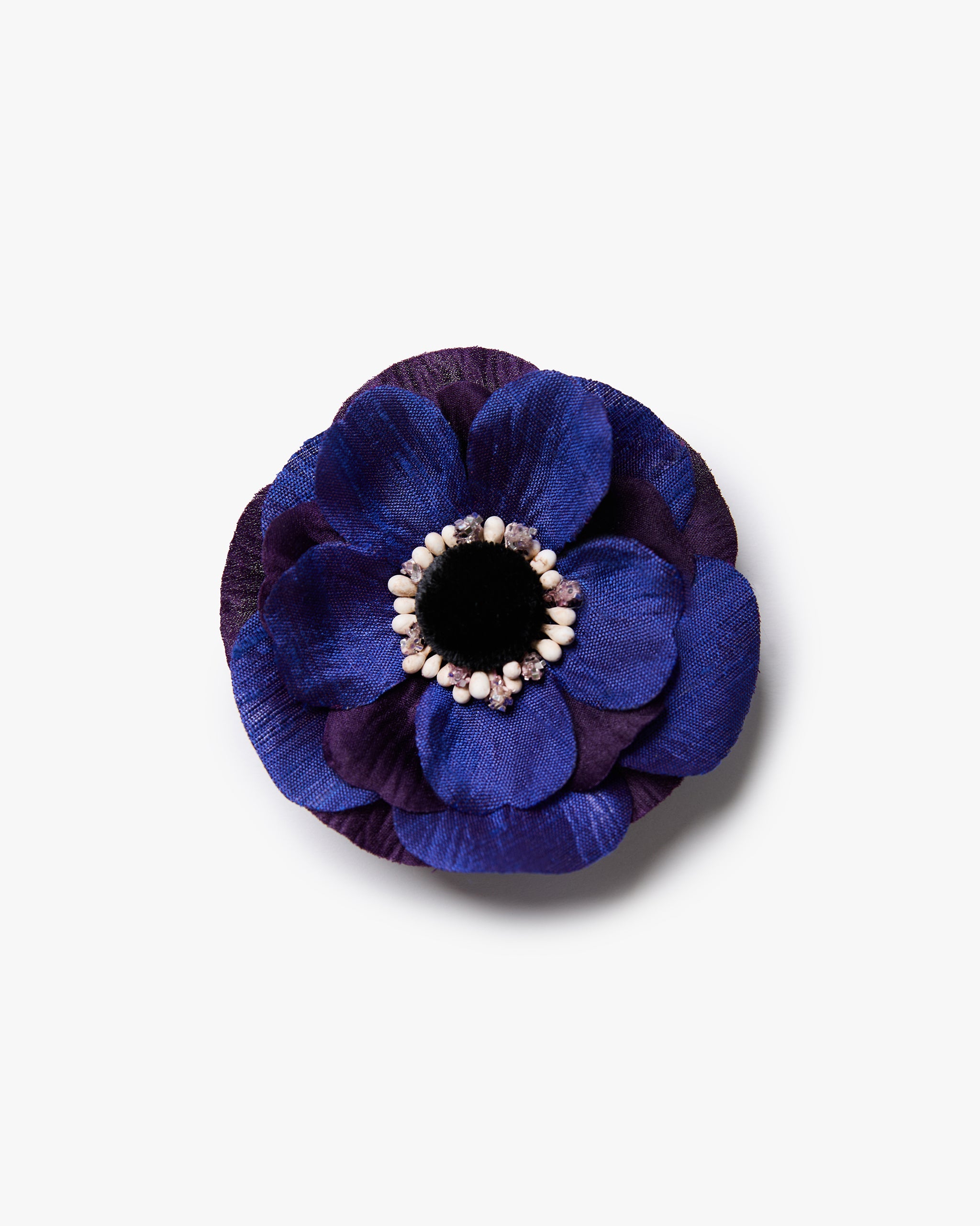 The Indigo Anemone