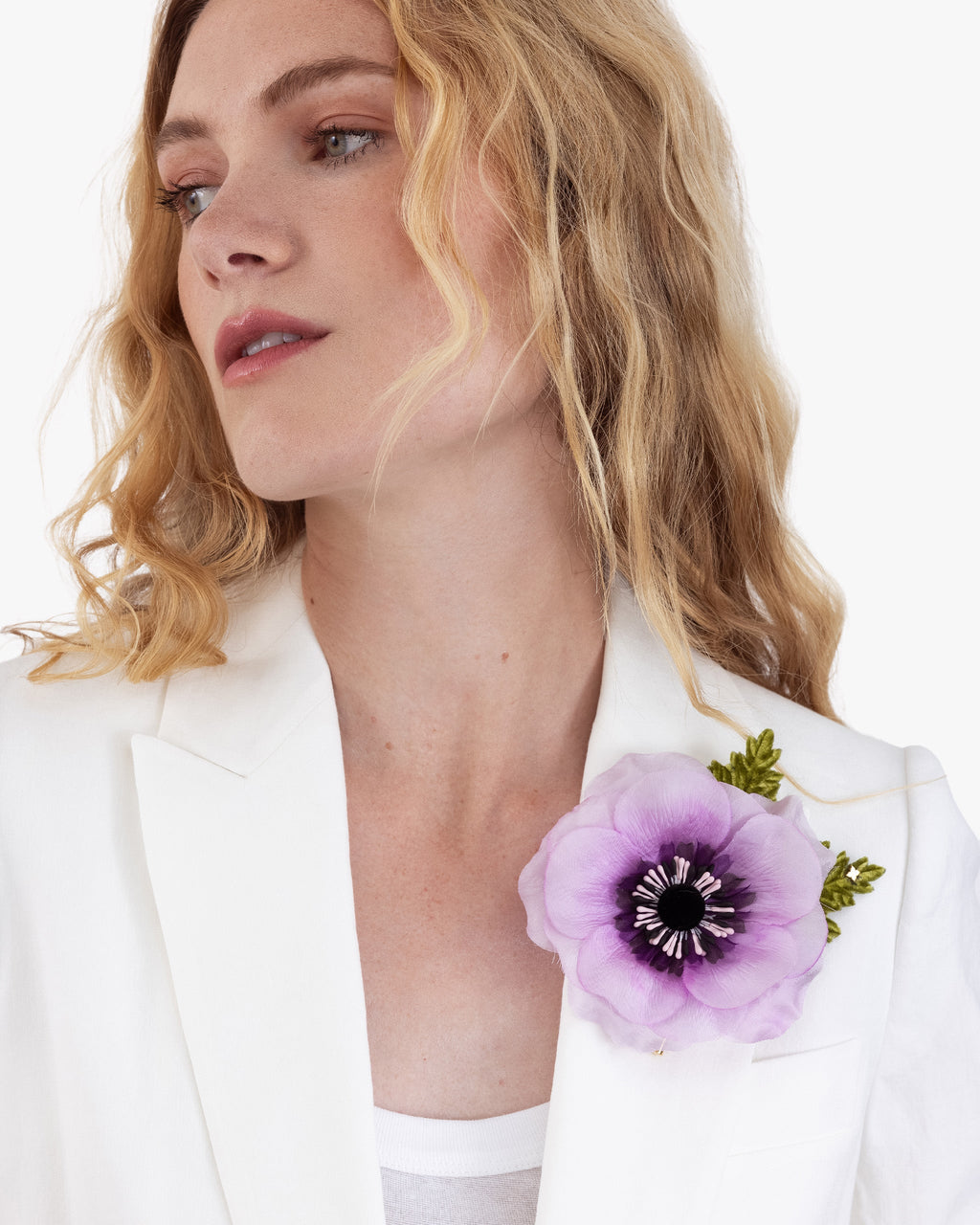 The Lavender Anemone