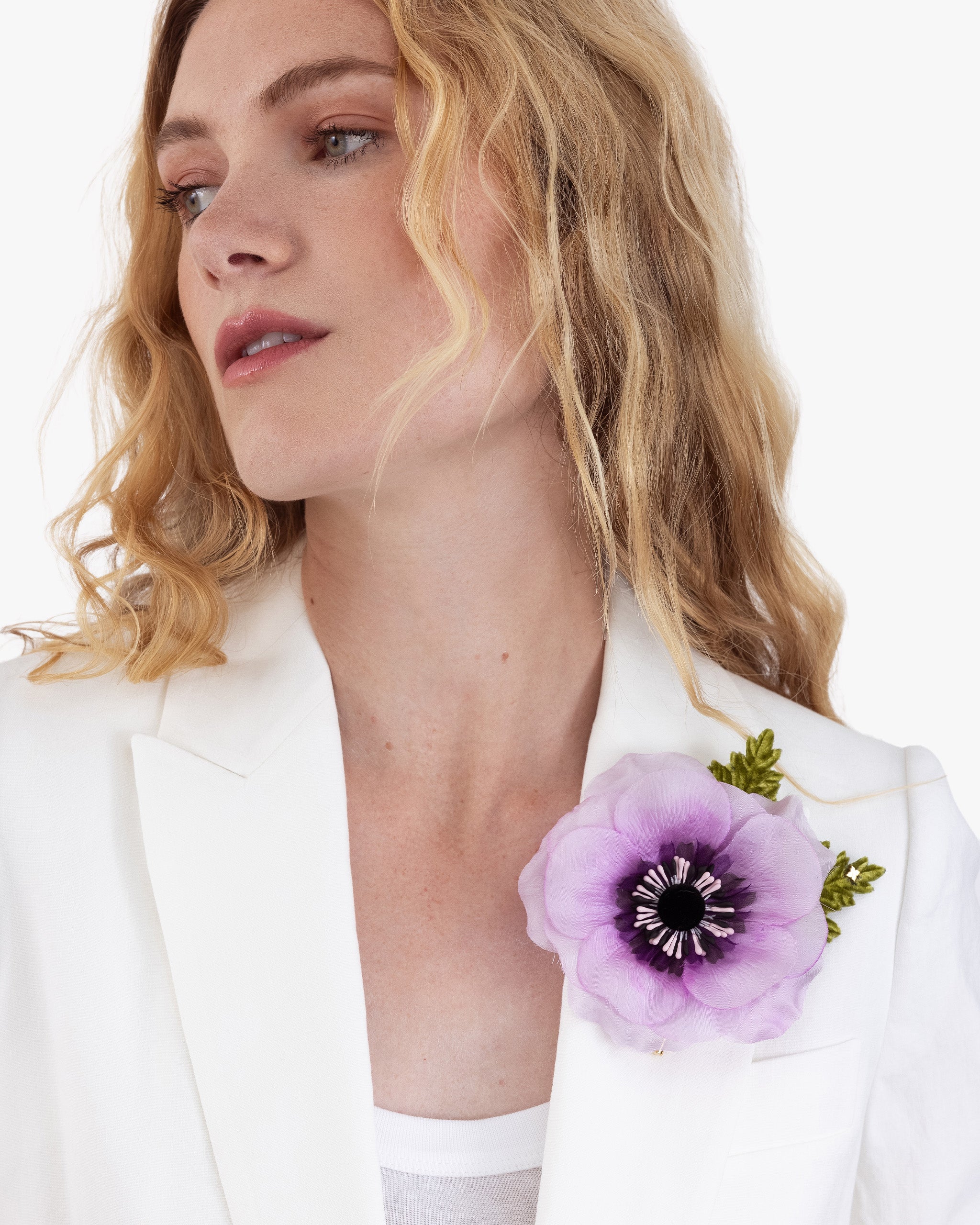 The Lavender Anemone