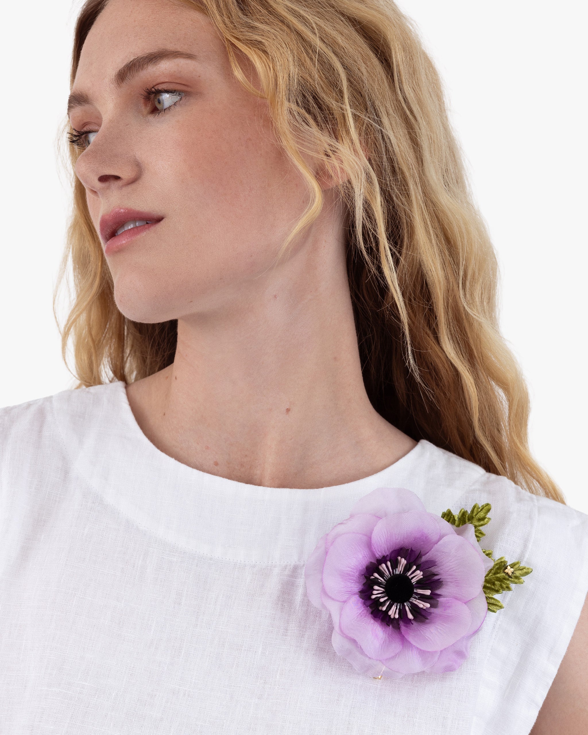 The Lavender Anemone
