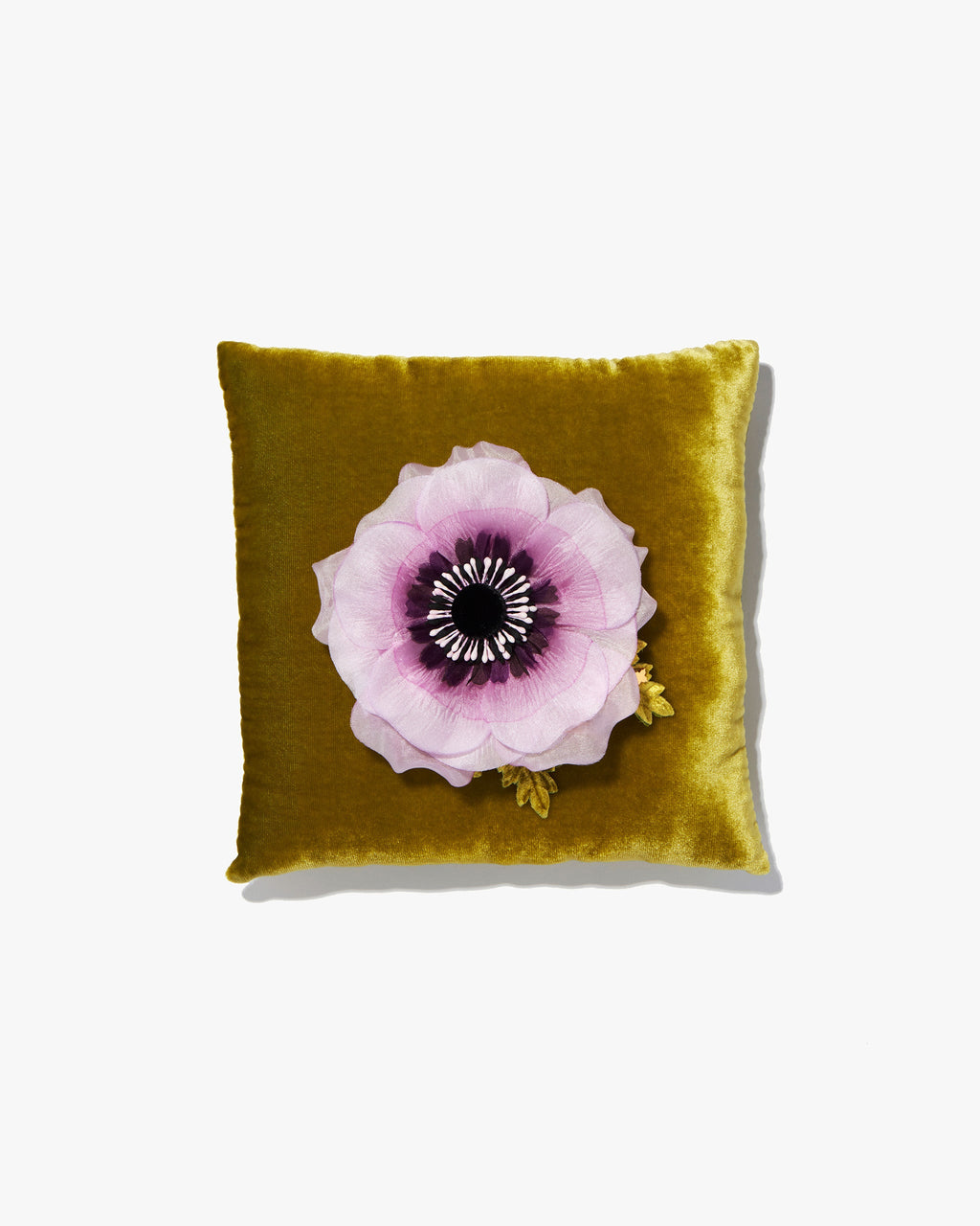The Lavender Anemone