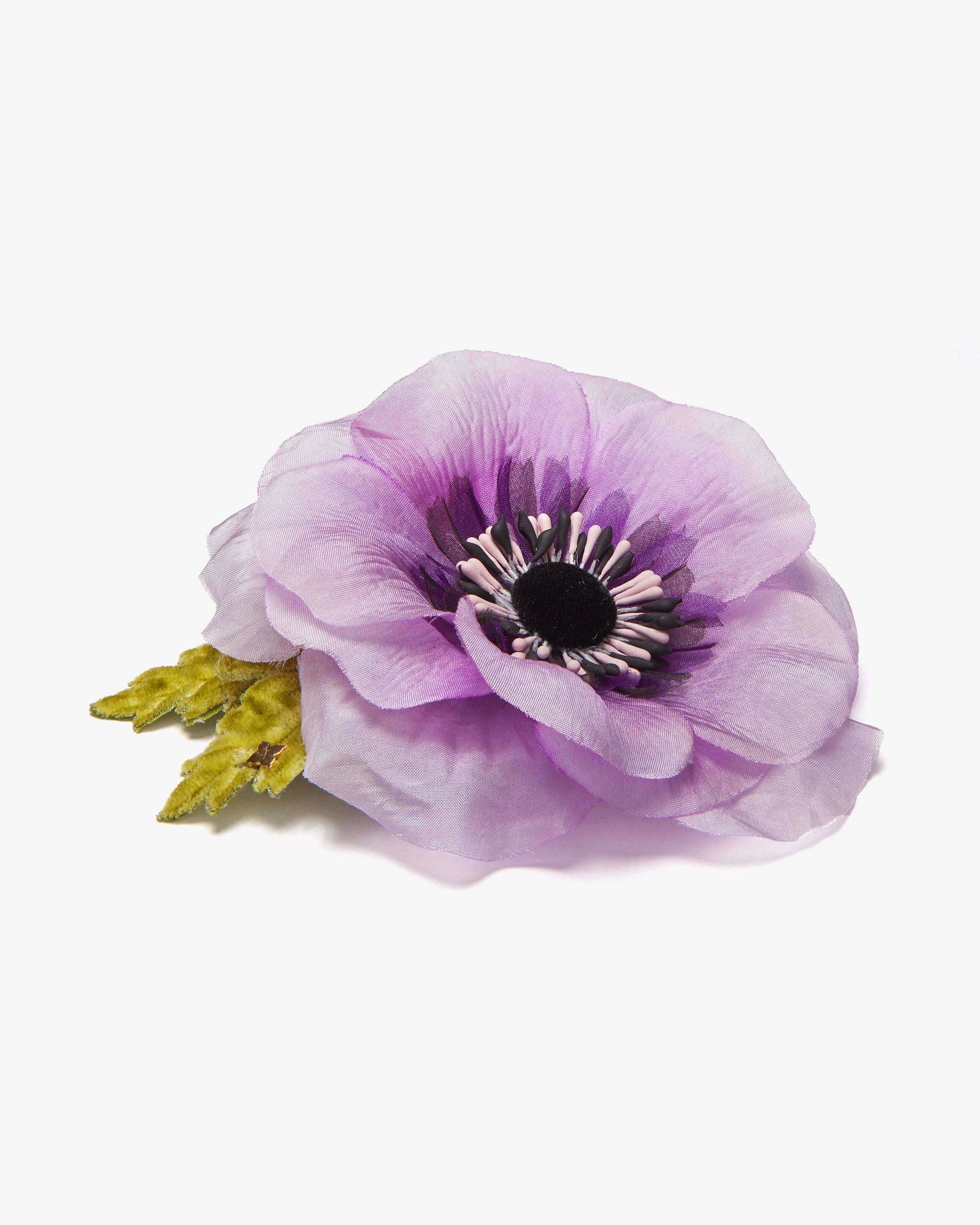 The Lavender Anemone