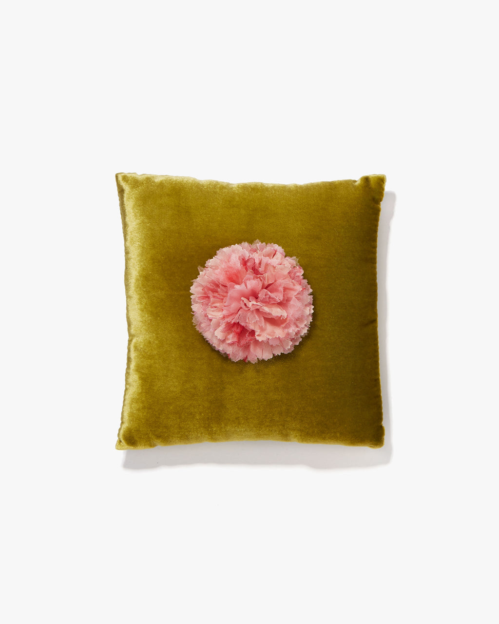 The Light Pink Carnation