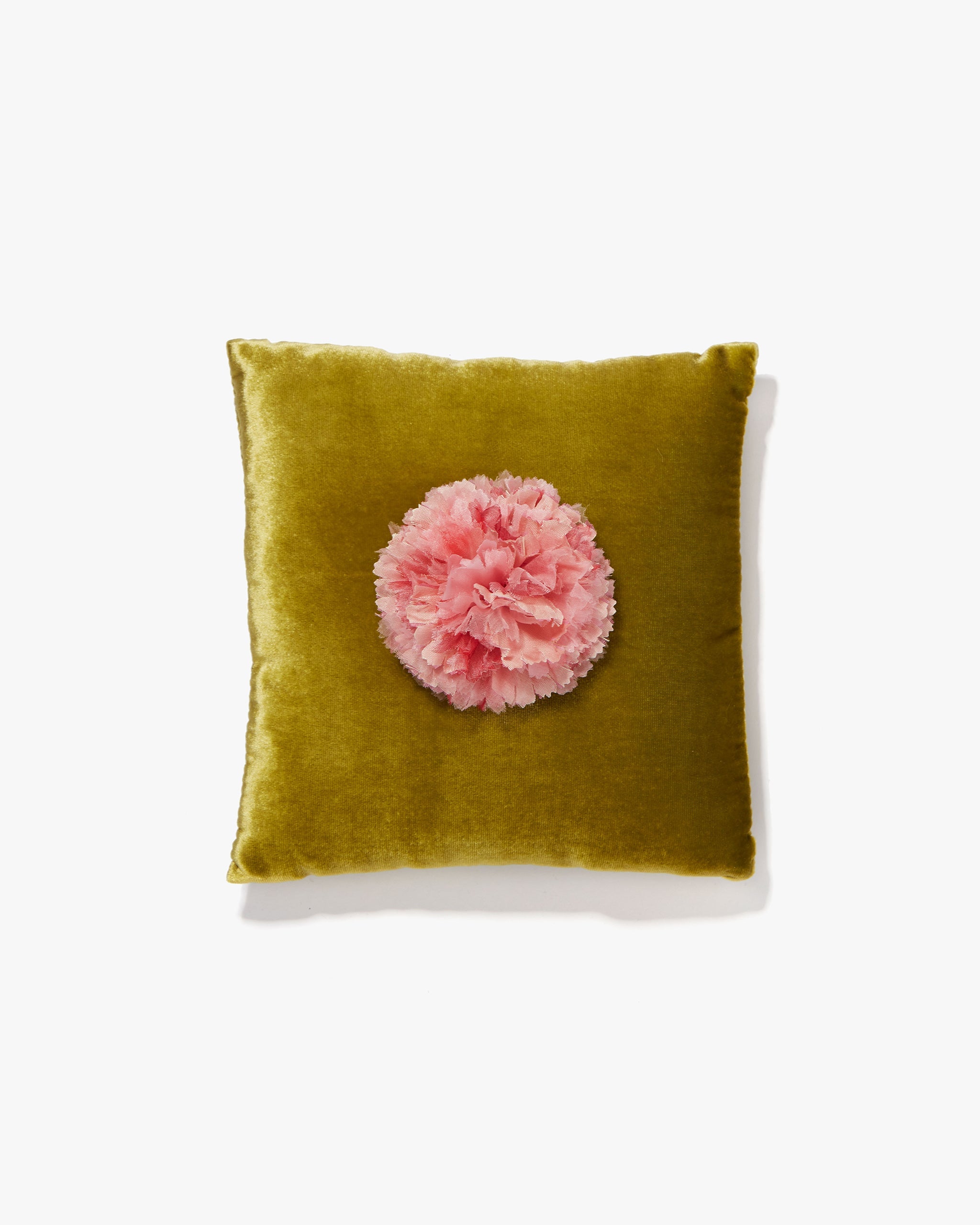 The Light Pink Carnation