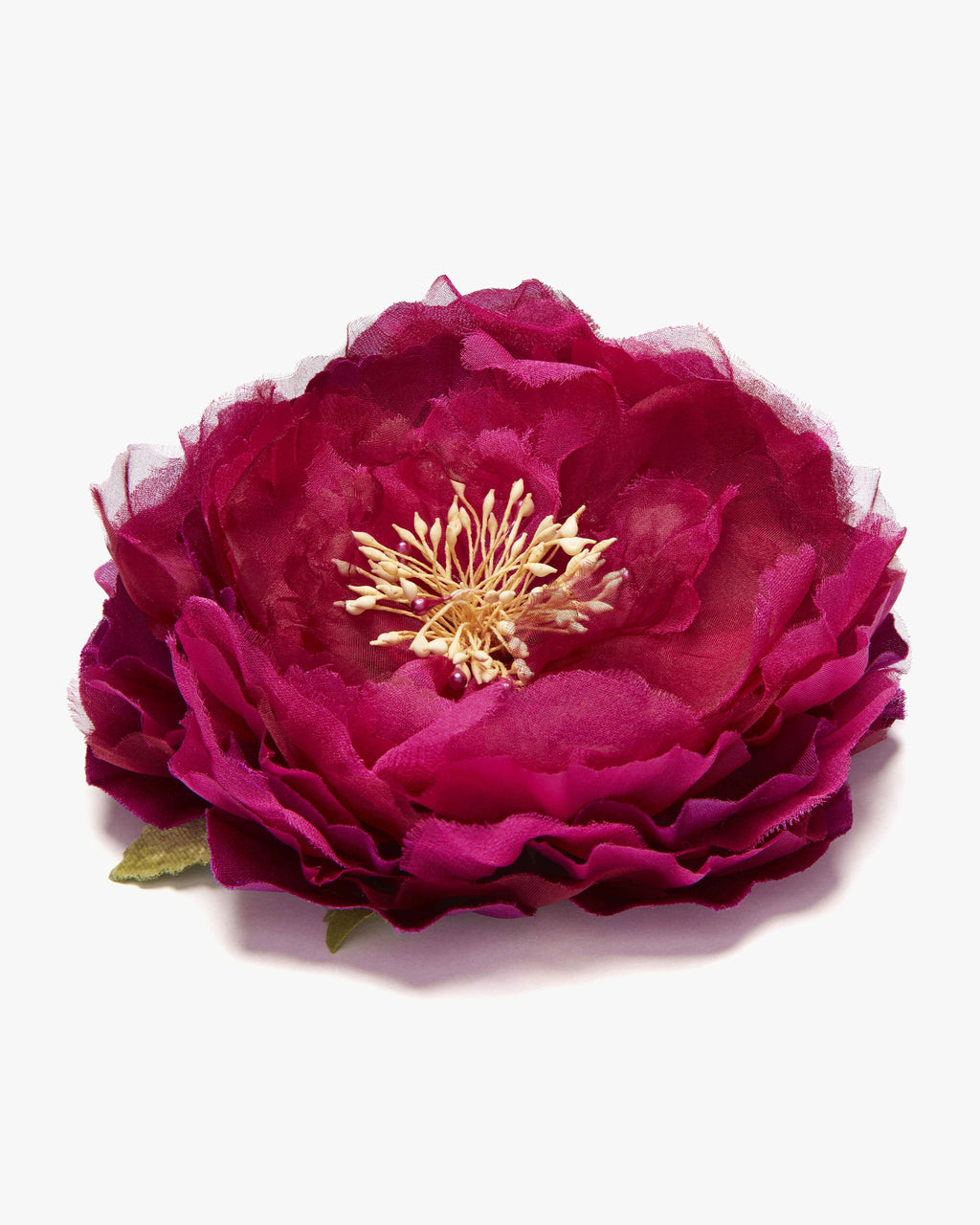 The Magenta Peony