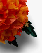 The Marigold