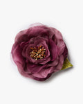 The Mauve Open Rose