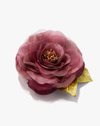 The Mauve Open Rose