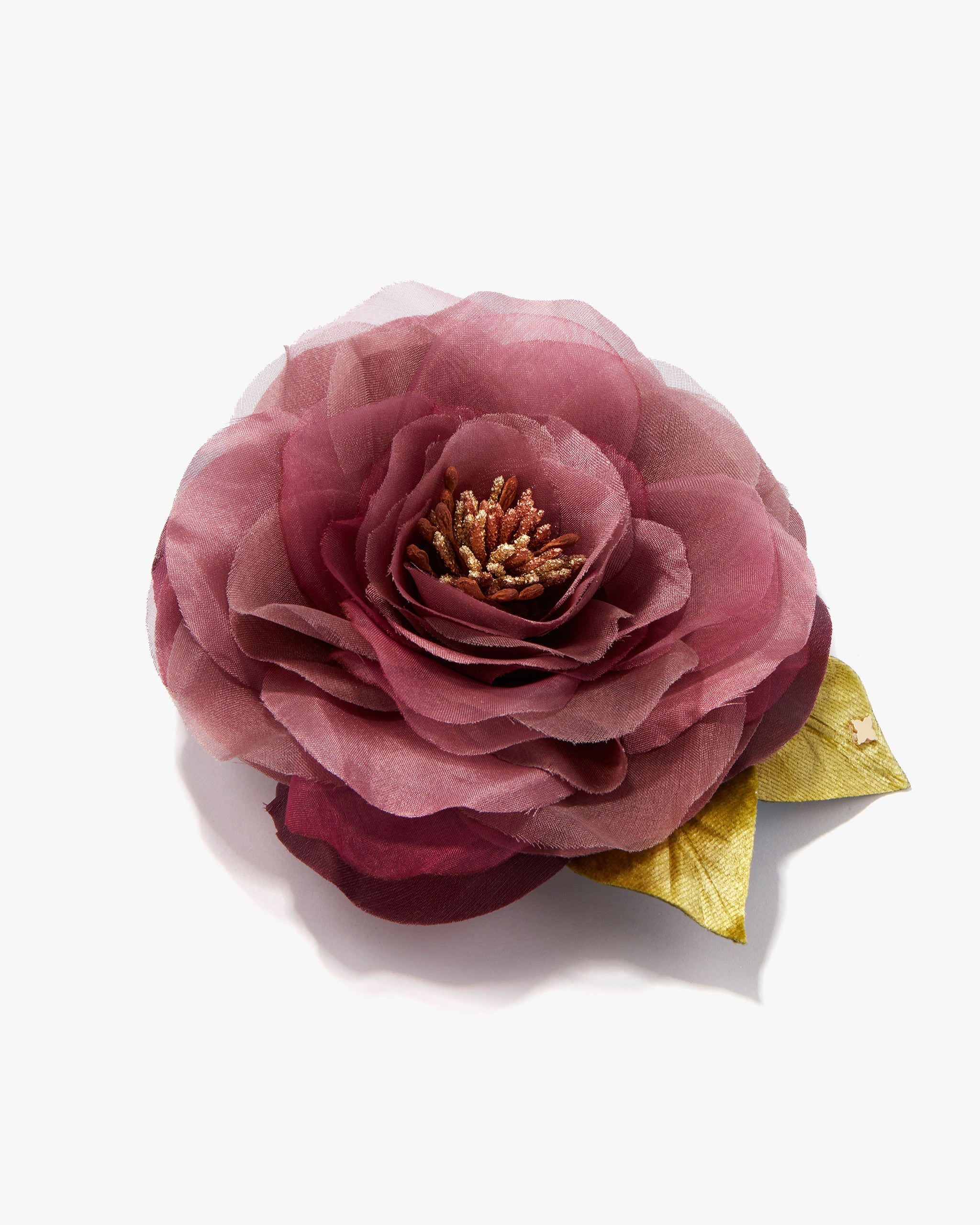 The Mauve Open Rose