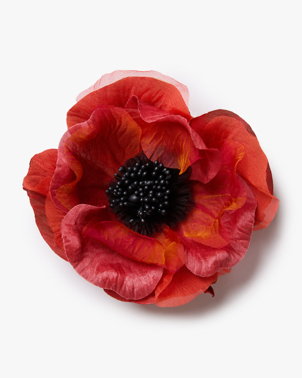 The Orange Poppy