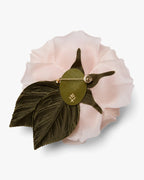 The Pale Pink Rose