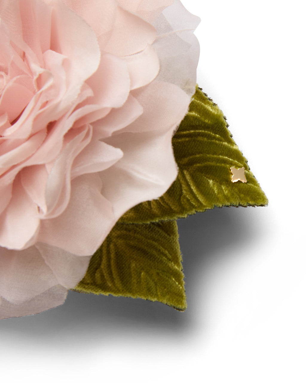 The Pale Pink Rose