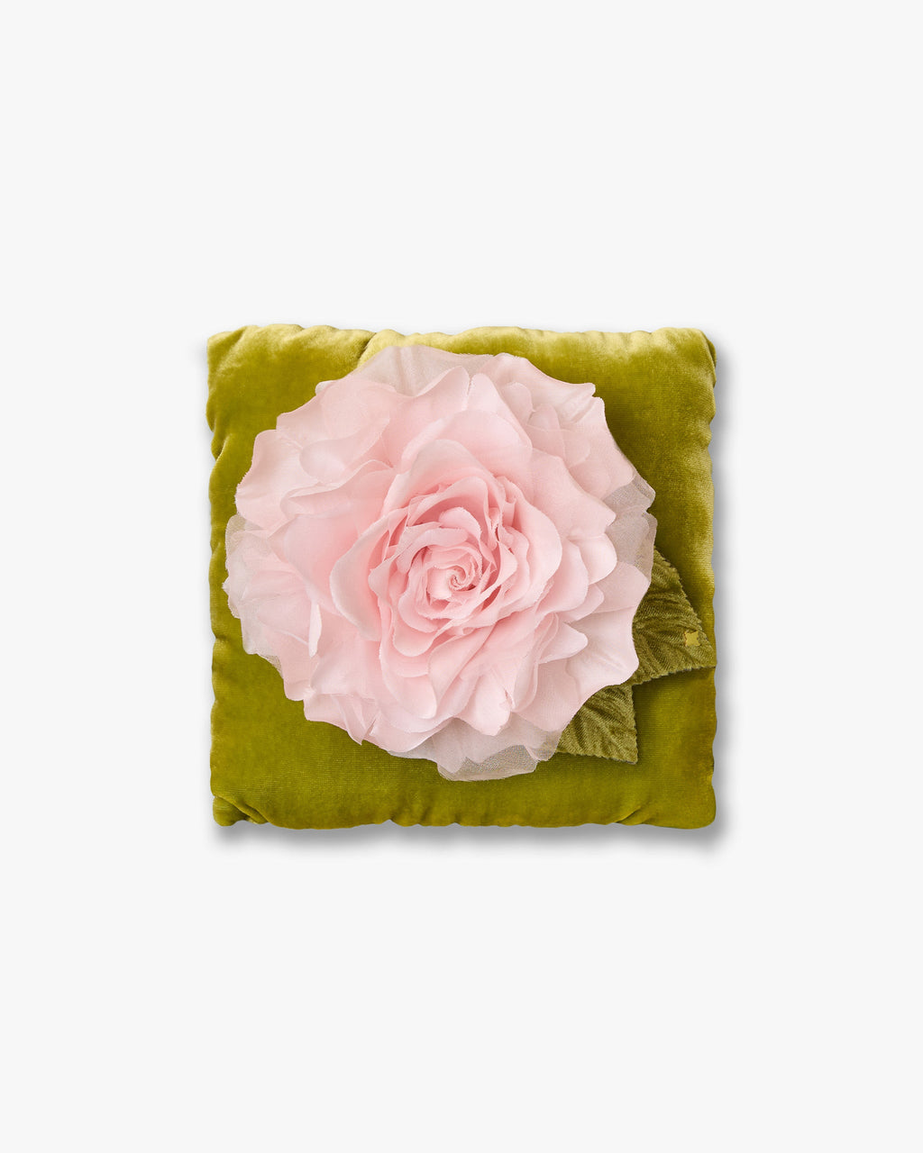The Pale Pink Rose
