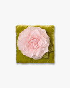 The Pale Pink Rose