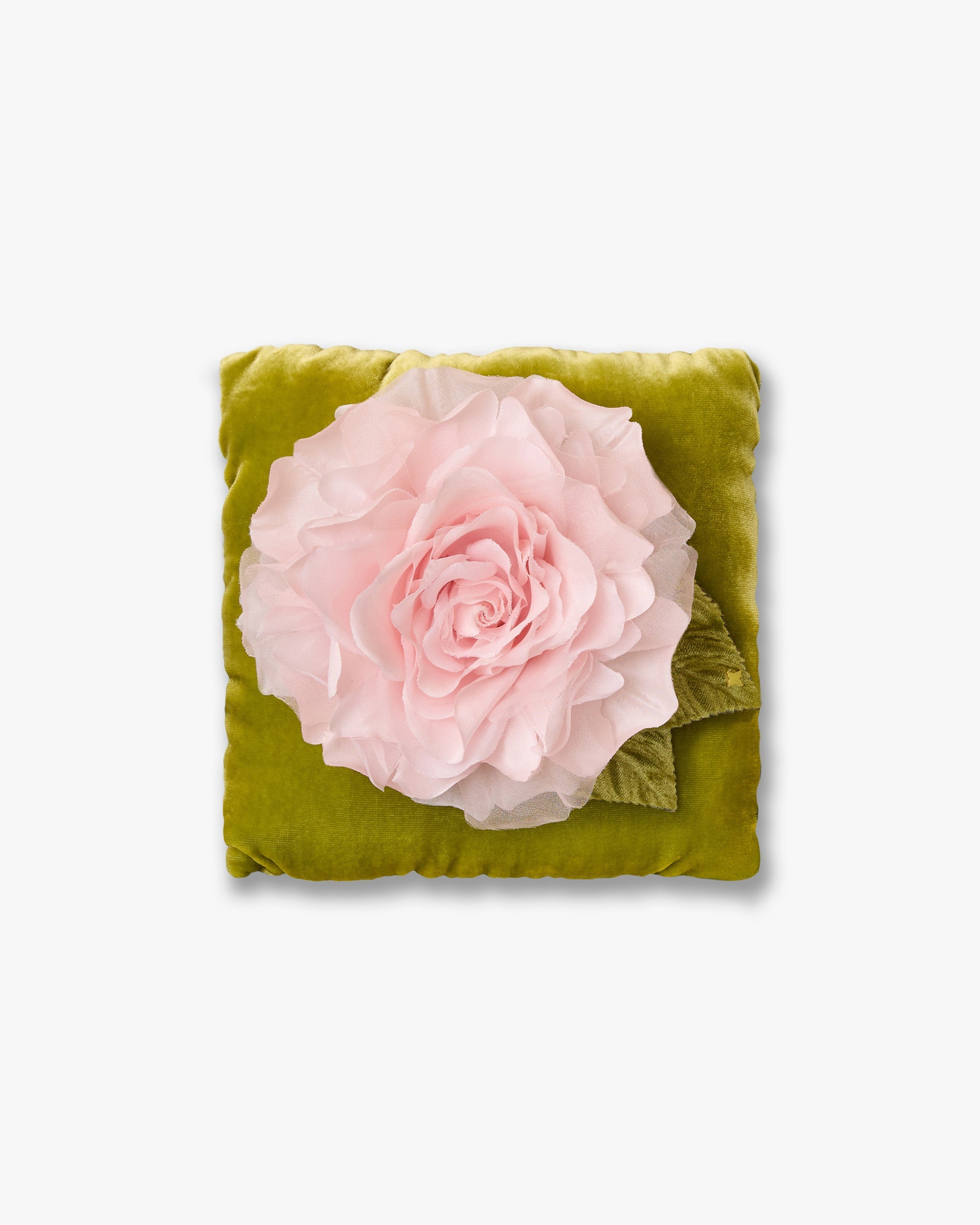 The Pale Pink Rose