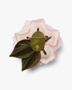 The Pale Pink Rose