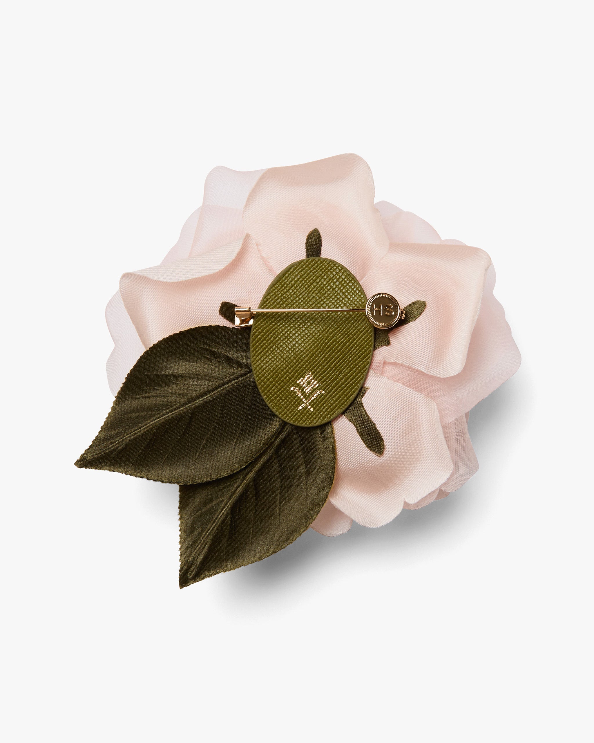 The Pale Pink Rose