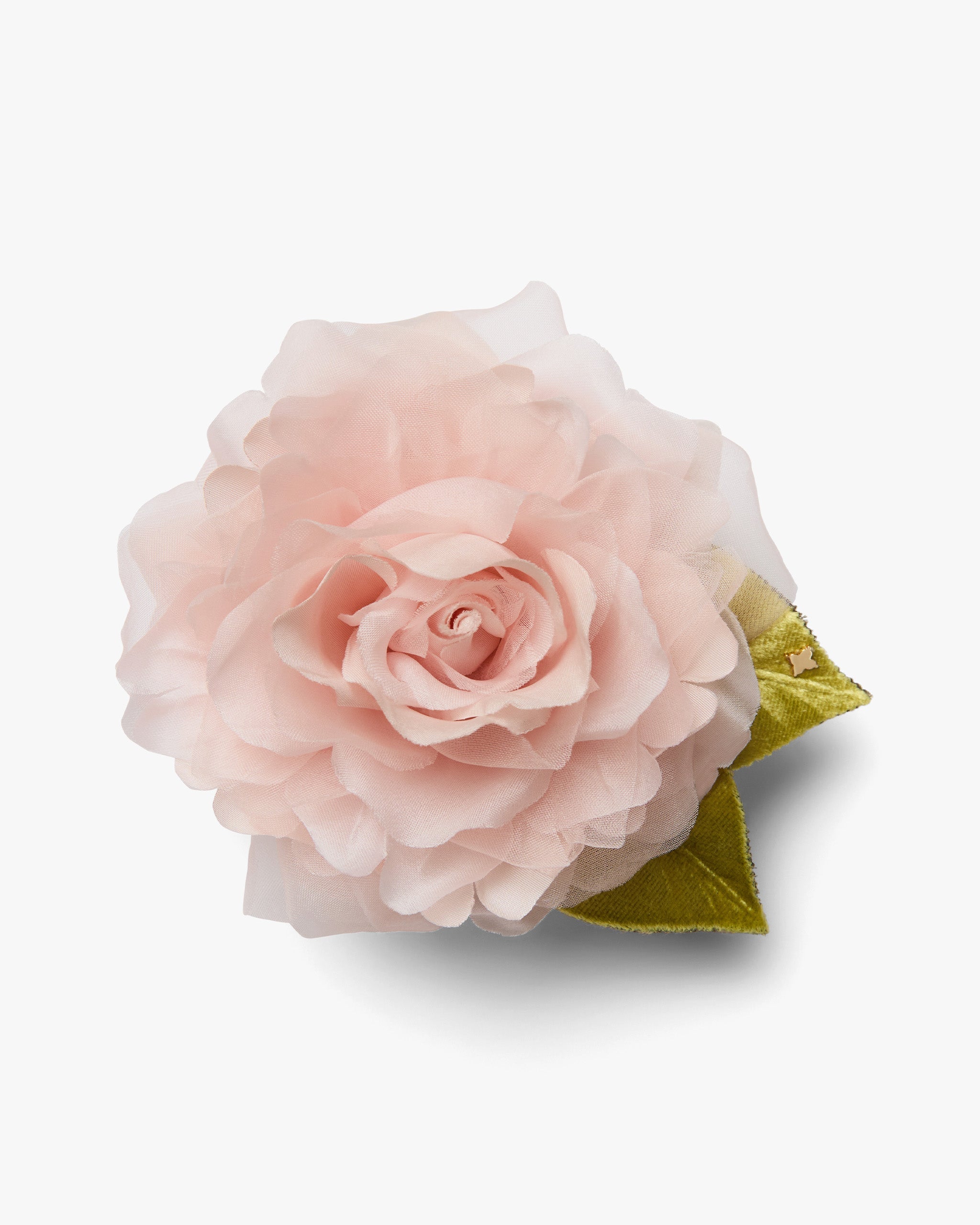 The Pale Pink Rose