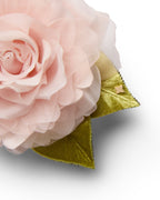The Pale Pink Rose