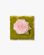 The Pale Pink Rose
