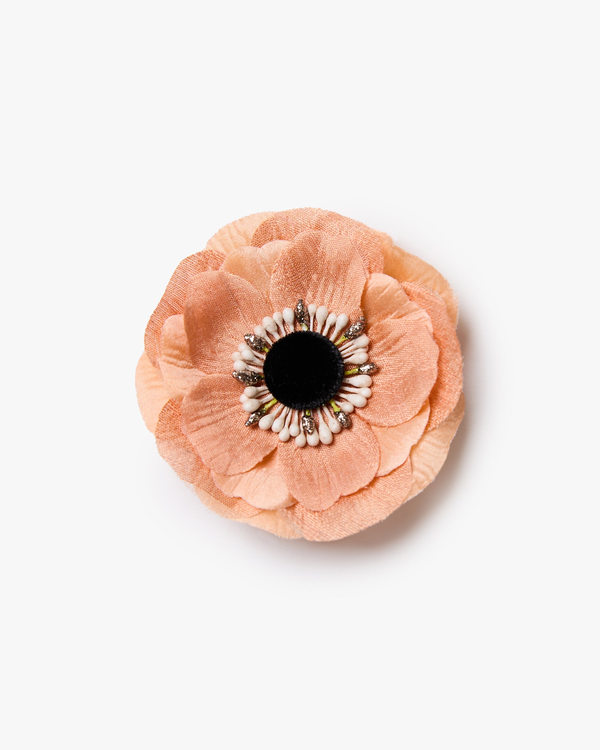 The Peach Anemone