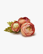 The Ranunculus