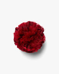 The Red Carnation